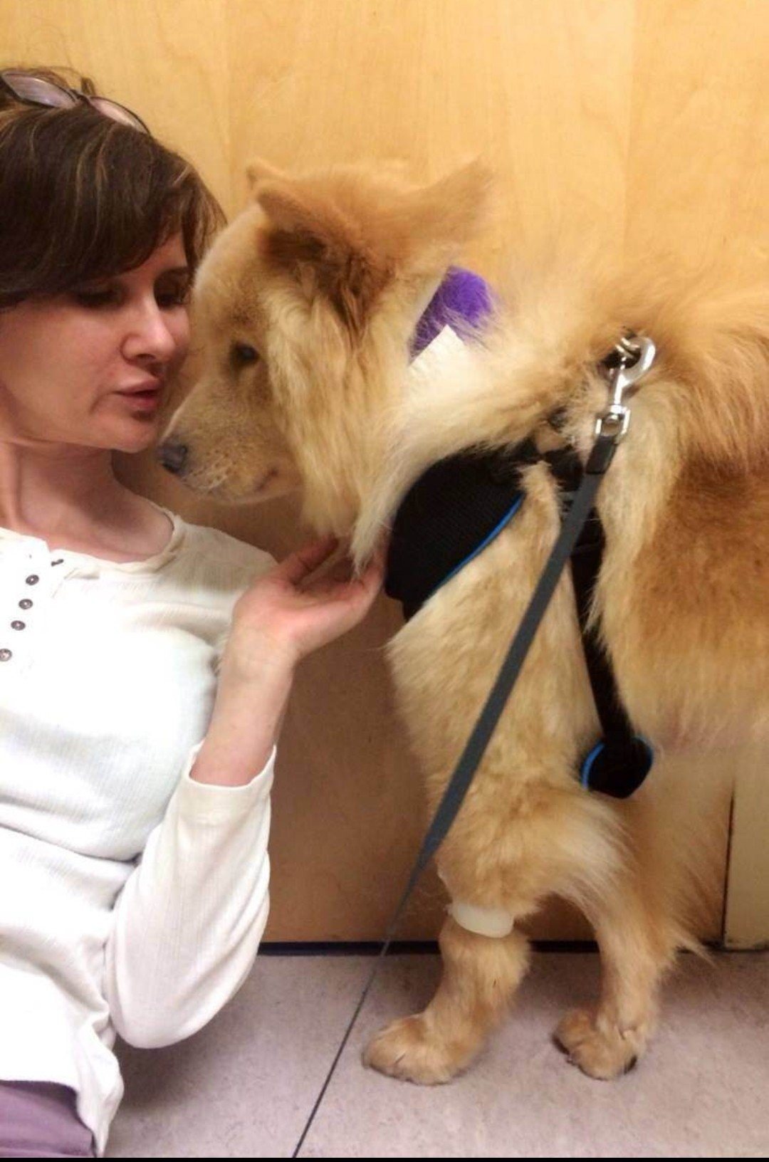 Alexandra with Buddy at the vet