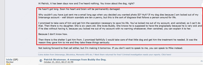 Bitcointalk post from icicle, written as a message from Buddy, October 25, 2013